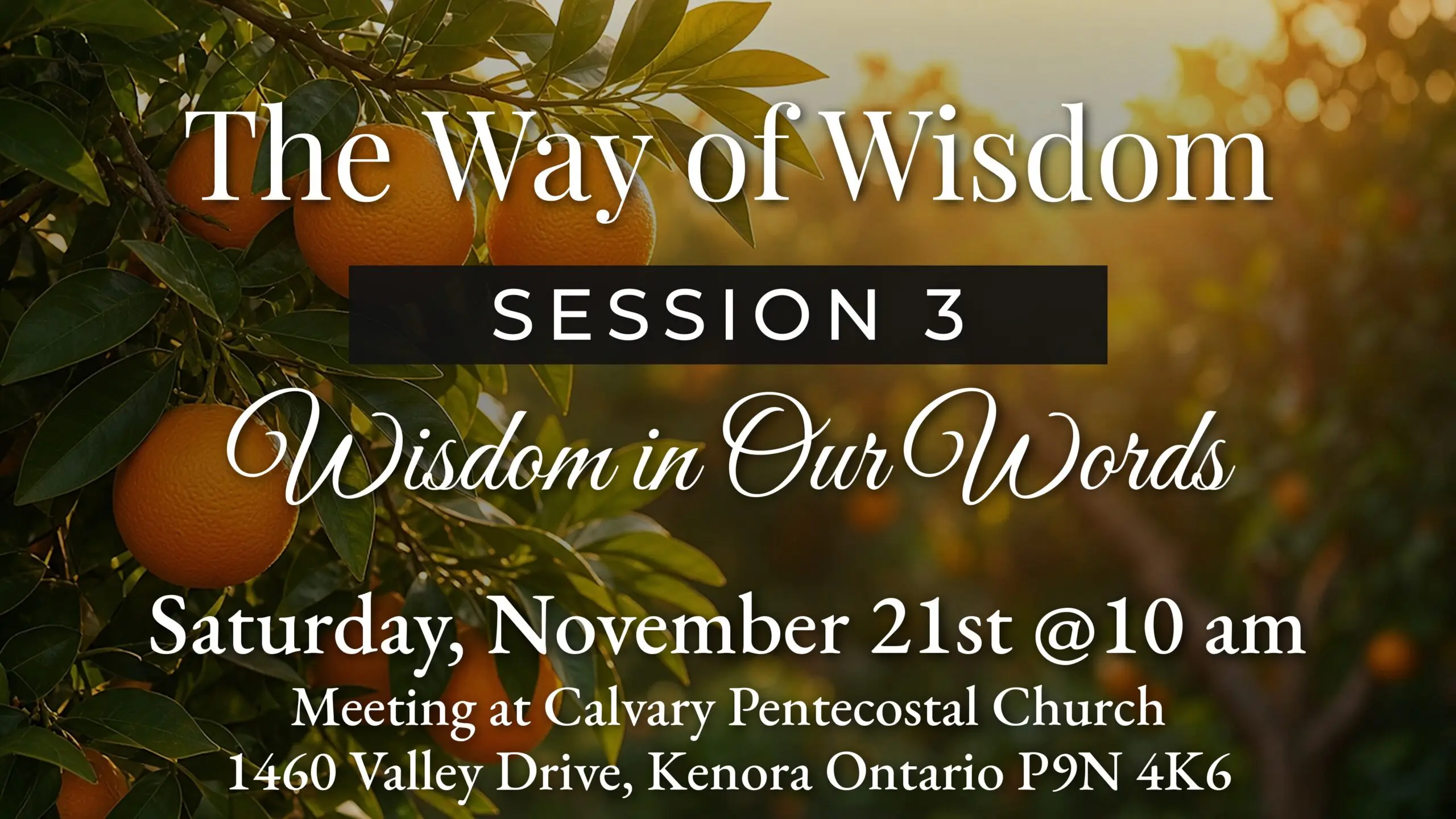 The Way of Wisdom – Session 3: Wisdom in Our Words, Sat Nov 21 10 am
